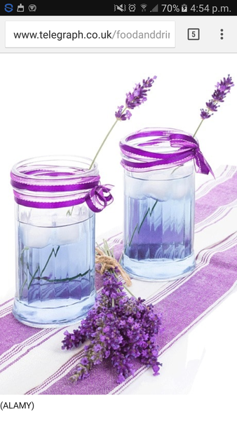 Brave Babes - Barging through 2017 in style