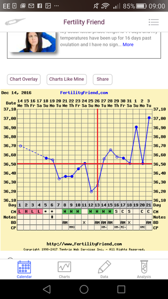 Did i ovulate?