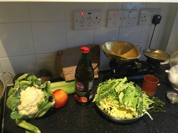 Springing into the New Year with the 2017 Frugaleers