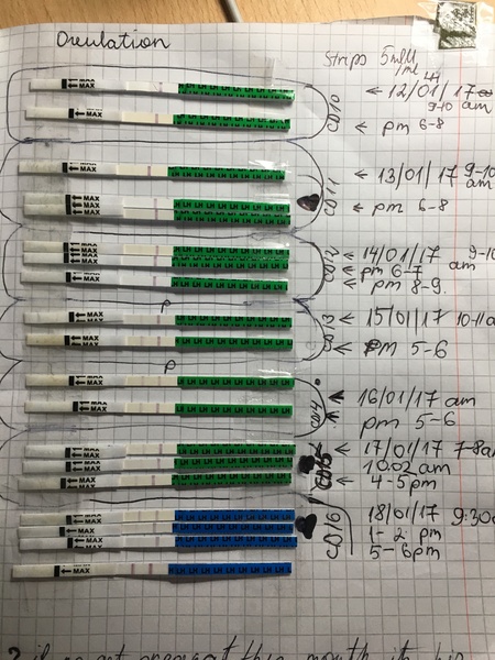 Ovulation confusion...thoughts?