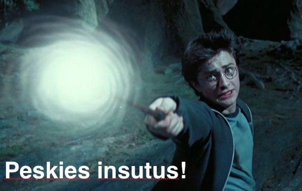 Welcome to our Chernobyl project for 2017