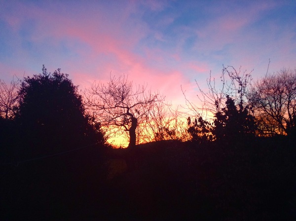 Keep the home fires burning for Zombie