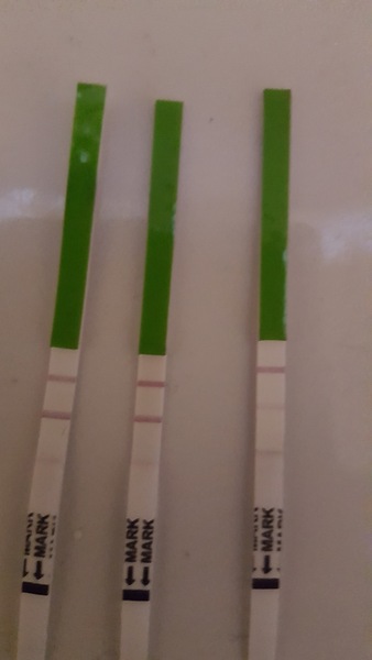 PCOS, Periods, Provera & Pals. Plus All The Bits In between.