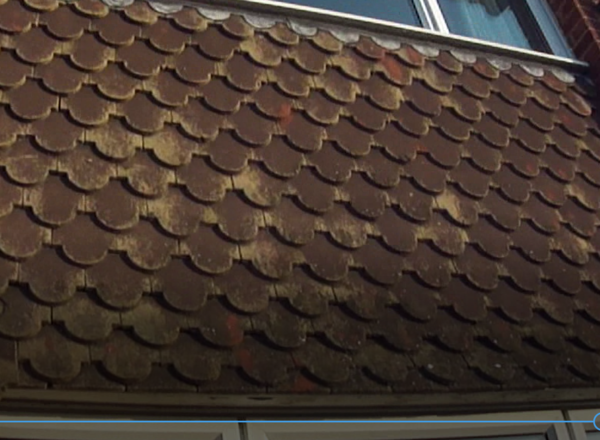 Am I being too picky with this house? Would you buy it? Tiled cladding