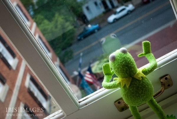 Zombie and Woolly Hugs. Come and find out about Candy's Hugs, we need your help.