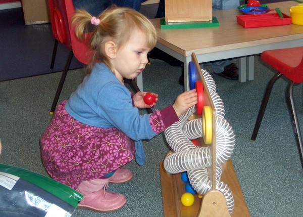 Toy Libraries