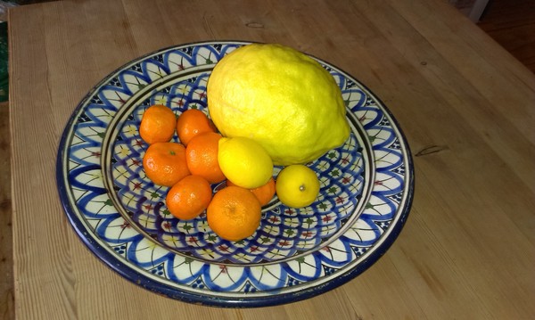 It's Marmalade Time!
