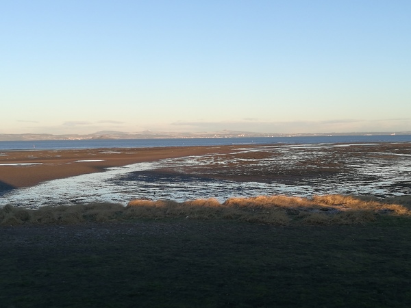 Brave Babes - Barging through 2017 in style