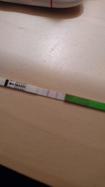 Oooo... Ovulation Test, is this positive