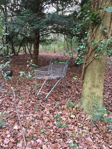 To push super market trolley home