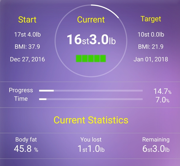 Anyone looking to lose 100lbs plus in 2017?