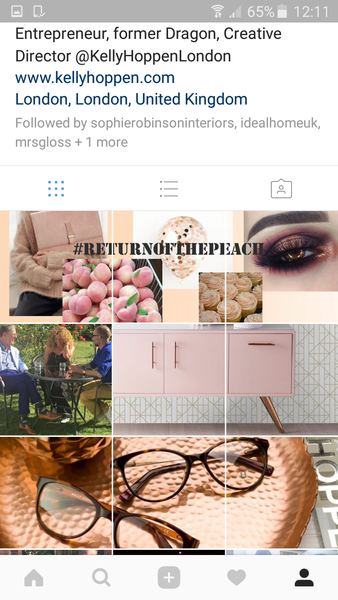 The Great Interior Design Challenge 2017