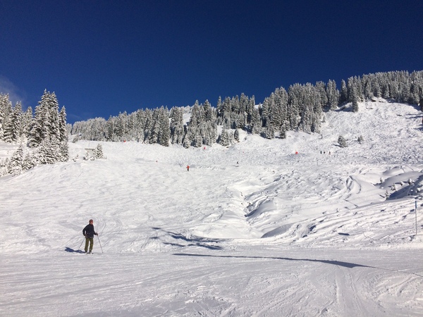 Happy Skiing Thread Part 3!!
