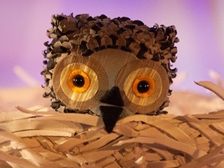 Win a Family Ticket to 'Wow Said the Owl' at Lakeside Arts