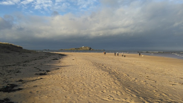 To not want to go walking on beaches in the middle of January?