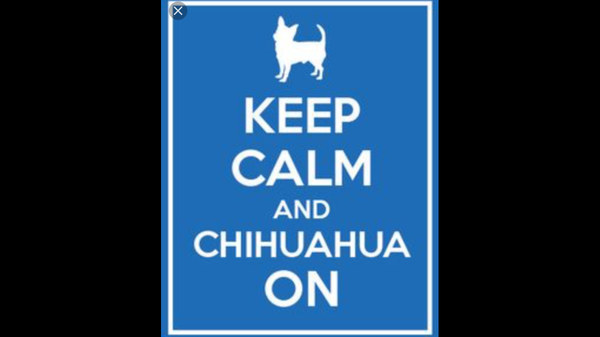 The Brexit Arms. A friendly place for anyone wanting to chat about Brexit.