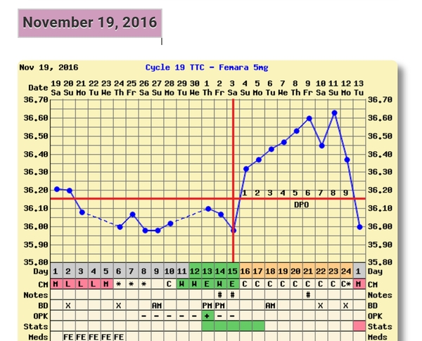 Thread 24. TTC #1 - It's been a tough start to the year but 2017 is still the year of the BFP