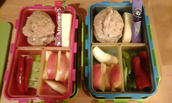 AIBU to ask to see your dcs REAL packed lunches