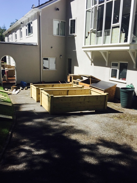 Help with new kitchen garden - soil and planting
