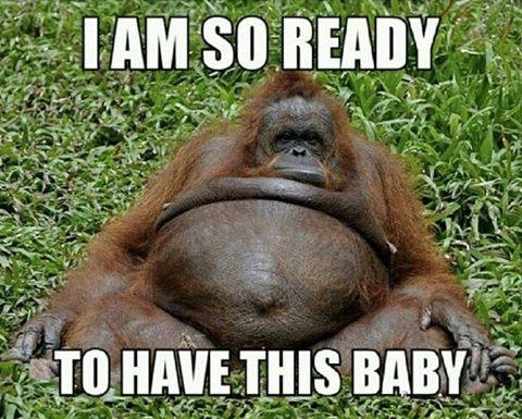 The waiting game