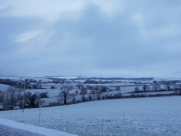 Brave Babes - Barging through 2017 in style