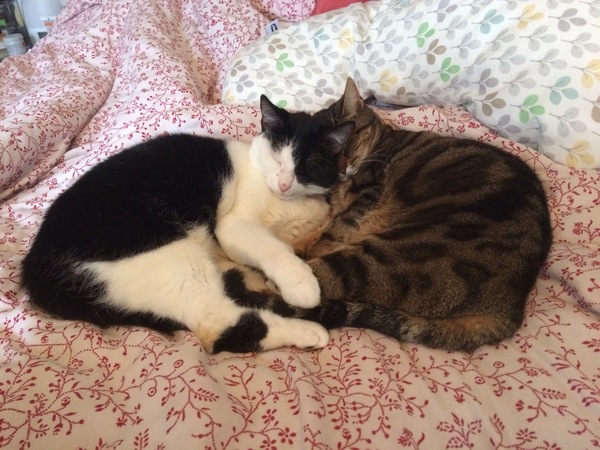 #TTC1 - Second Wave grads thread!