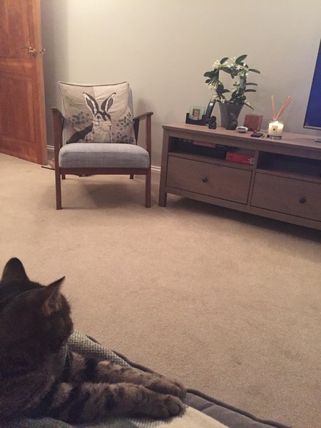 Home fires, candles and gin for zombie