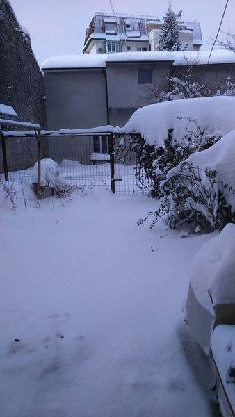 to be hoping for THUNDERSNOW tomorrow
