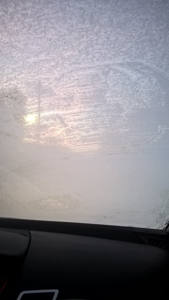 Zombie has her hospital bed so the Phalanx had a sleep over.