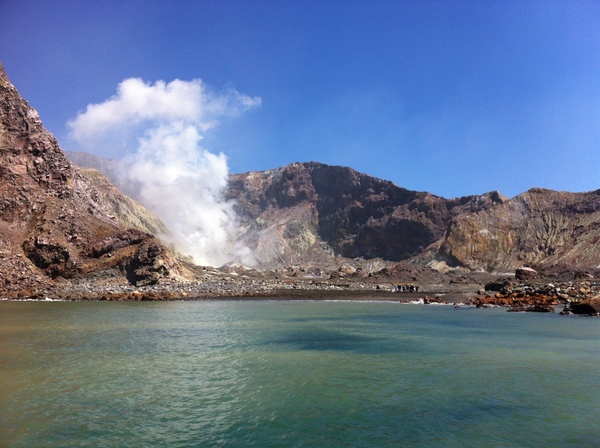 Springing into the New Year with the 2017 Frugaleers