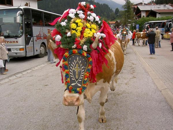 I don't have big piles.