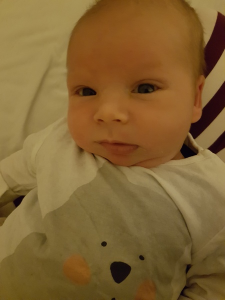 The final December 2016 thread?