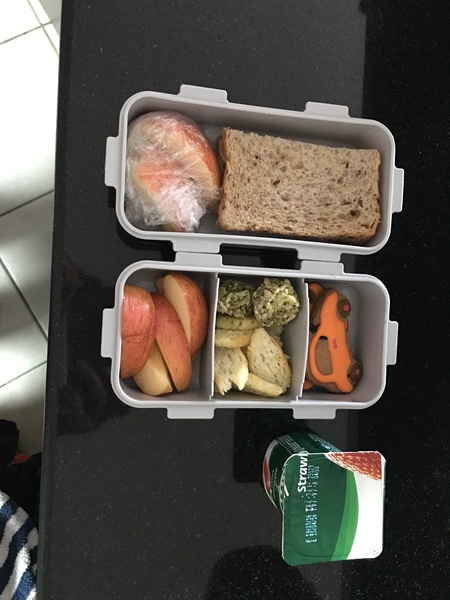 AIBU to ask to see your dcs REAL packed lunches