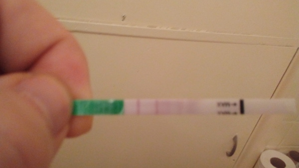 Have i ovulated?