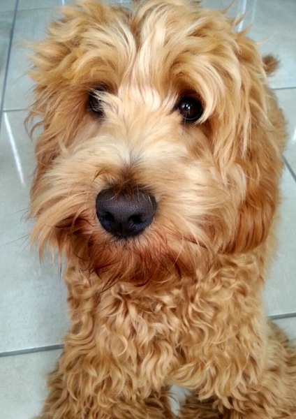 #TTC1 - Second Wave grads thread!