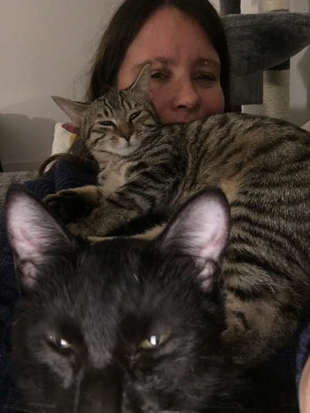 If you're at home with your cat