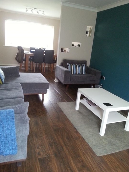 What wall colour goes well with grey sofas?