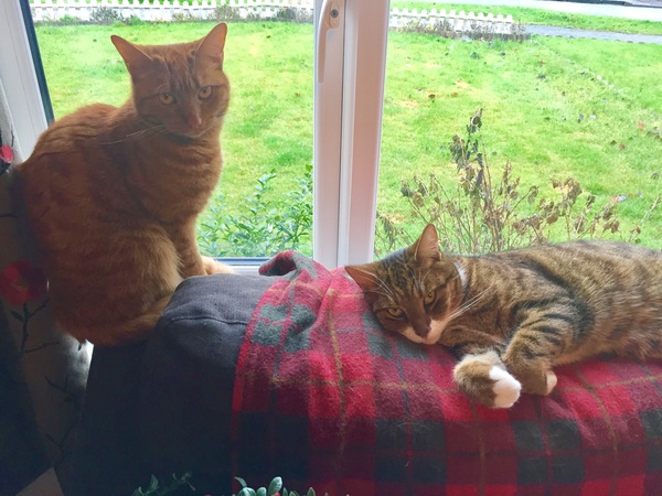 #TTC1 - Second Wave grads thread!