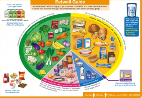 To question the Eat Well plate?