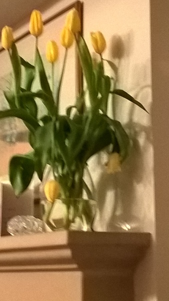 Zombie's Journey into 2017: One day at a time