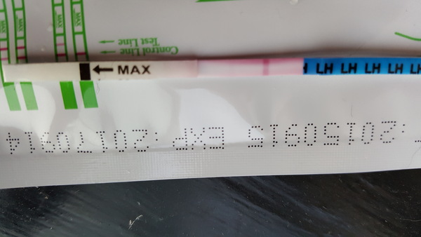 The most squintyest opk