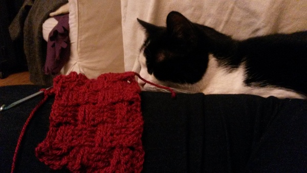 Zombie and Woolly Hugs. Come and find out about Candy's Hugs, we need your help.