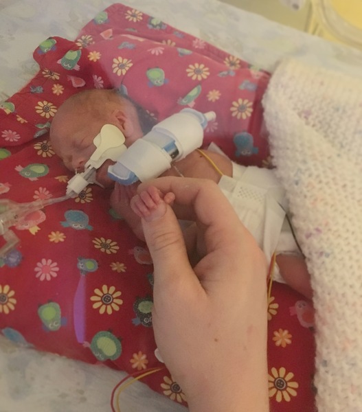 April 2017 #5 - second trimester! Less feeling crap, more feeling kicks