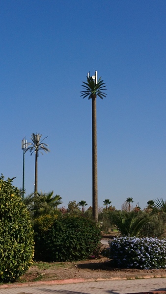 AIBU to object to a proposed phone mast 20m from my house and DD2's school?