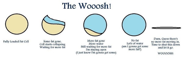 5:2 Thread No. 66: If you shaved legs & pits, but the scales still screamed "Ow ! Get off !" then join our friendly group for a new approach.