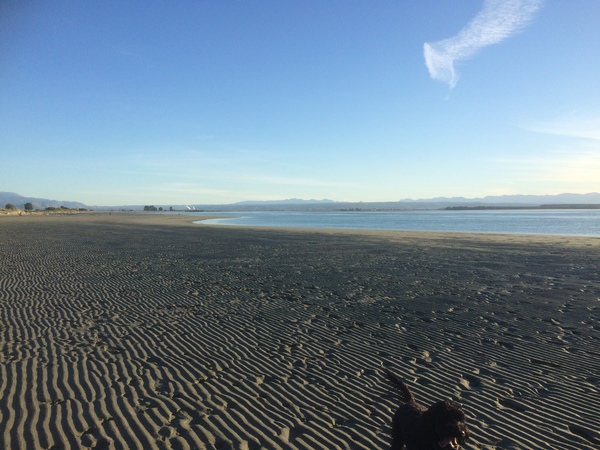 To not want to go walking on beaches in the middle of January?