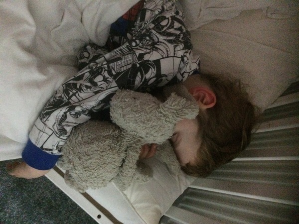 Found a toy bunny outside the House of Commons