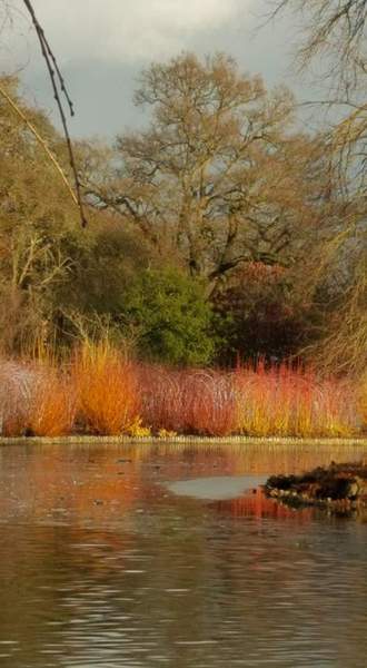 I am completely, totally, utterly, desperately FED UP WITH WINTER NOW!