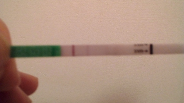 Have i ovulated?