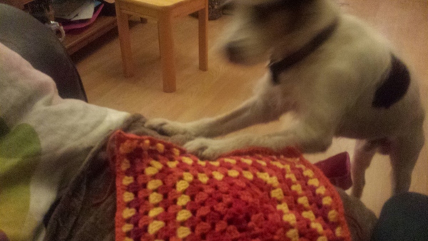 Zombie and Woolly Hugs. Our second thread! Come and find out about Candy's Hugs, all very welcome.